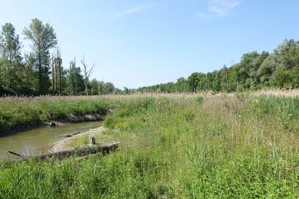 Marathonwanderung Bild 4