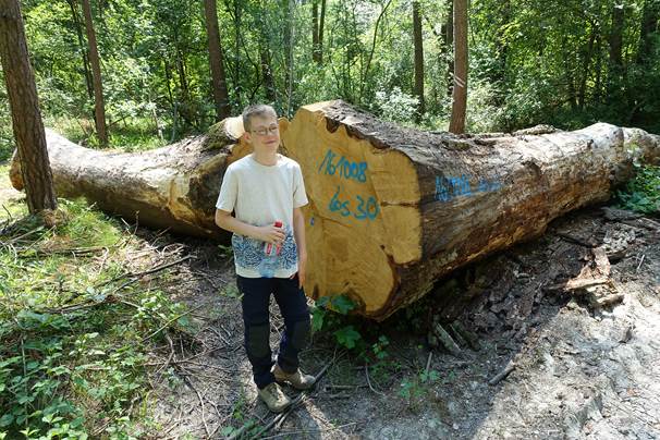 Marathonwanderung Bild 7