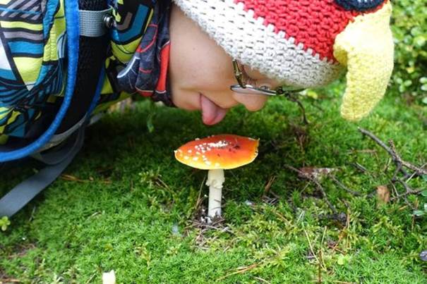 Markgrafenweg Bild 3