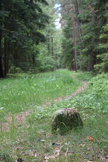Grenzsteine Hochstra&szlig;e 2